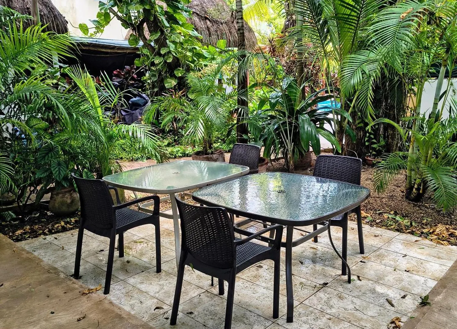 Hotel & Suites Oasis Bacalar