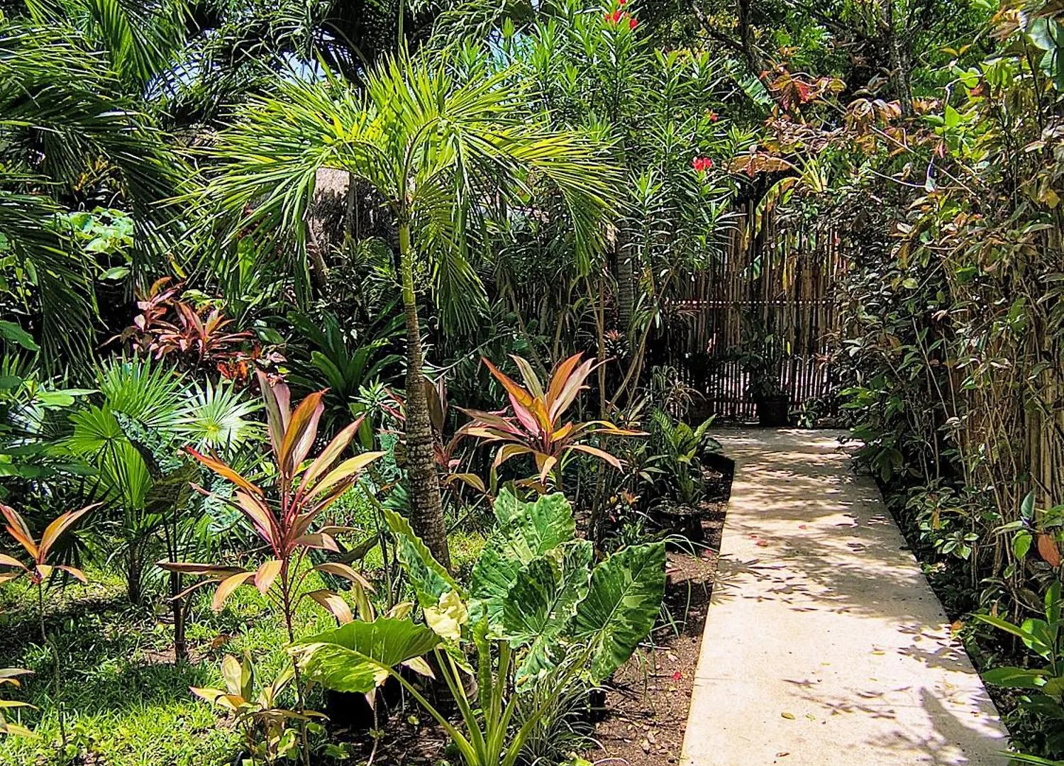 ***  Hotel & Suites Oasis Bacalar Mexico