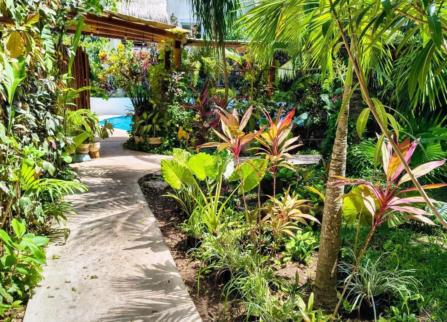 Hotel & Suites Oasis Bacalar